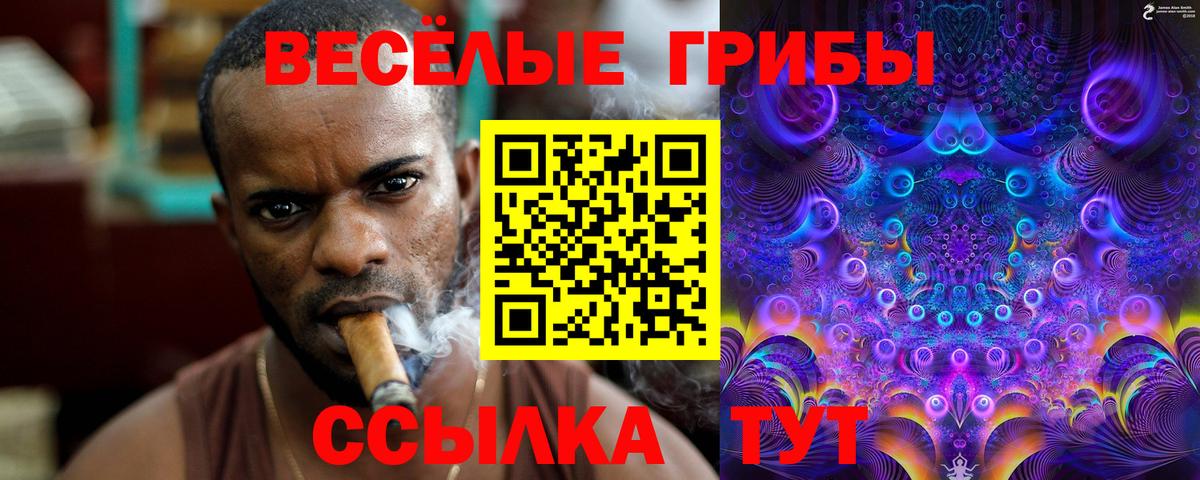 Когалым  Псилоцибиновые грибы мухоморы  Вход с VPN 