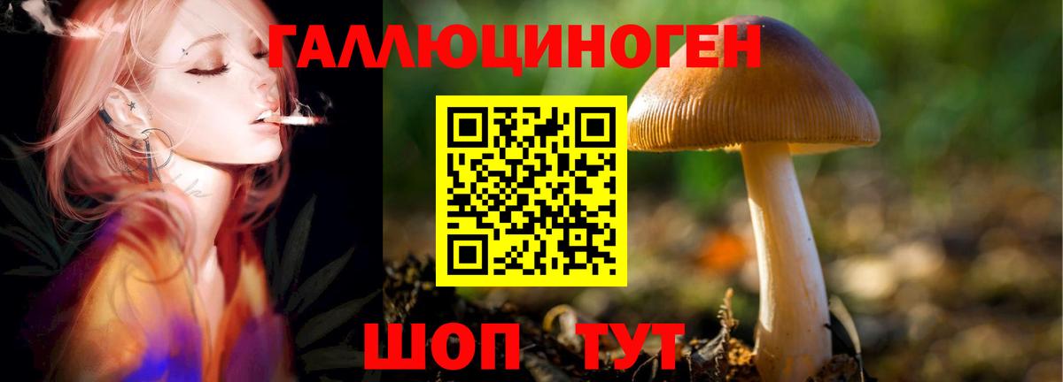  COCAIN Когалым