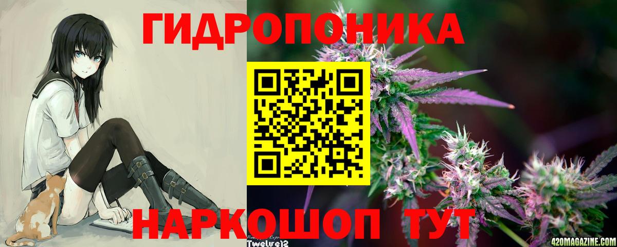 Канабис план  Конопля Amnesia  Вход с VPN  Когалым  Бошки марихуана план  Конопля ГИДРОПОН 